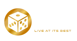 vivo-gaming.life